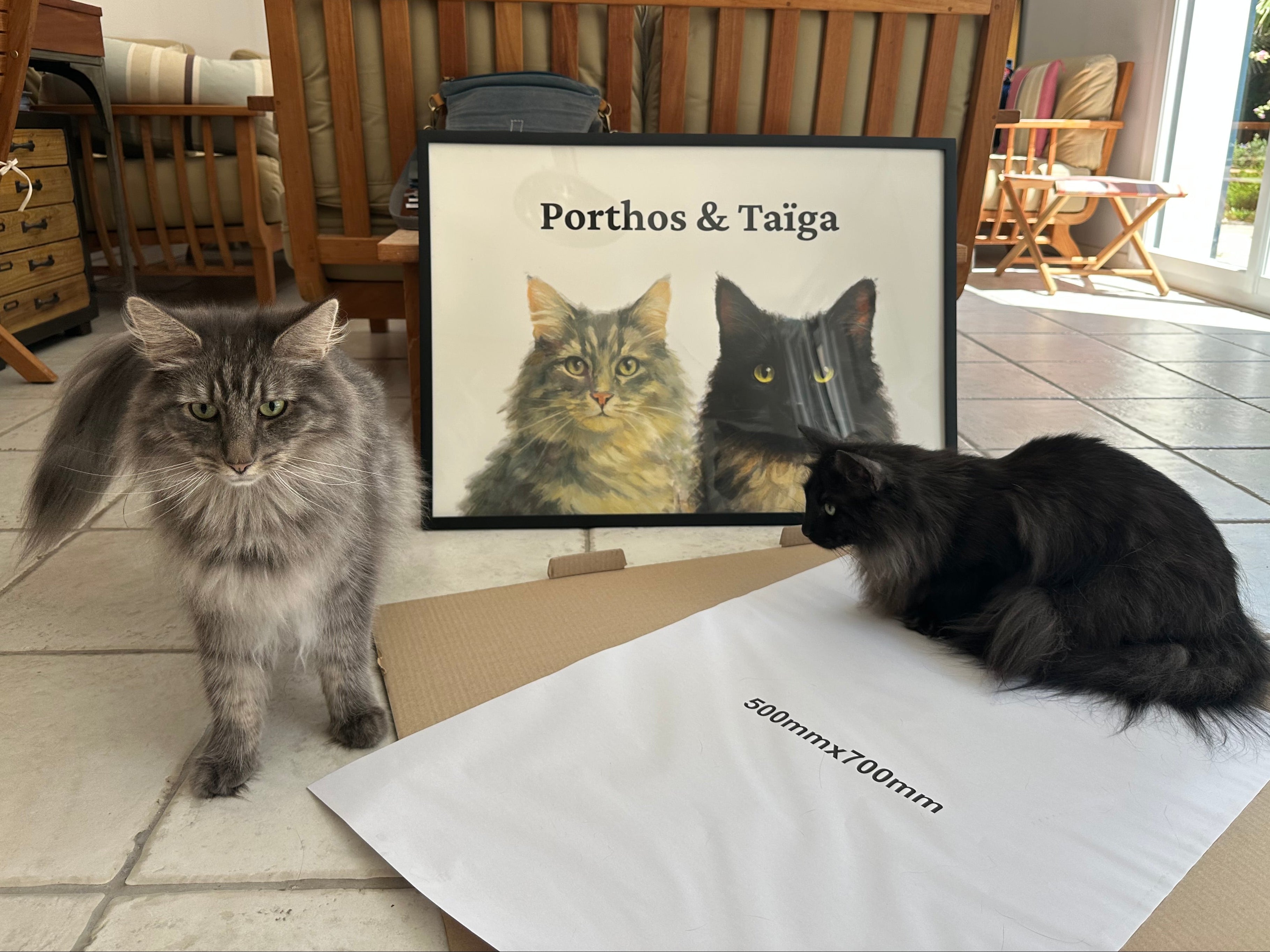 Portrait personnalisé de deux animaux de compagnie